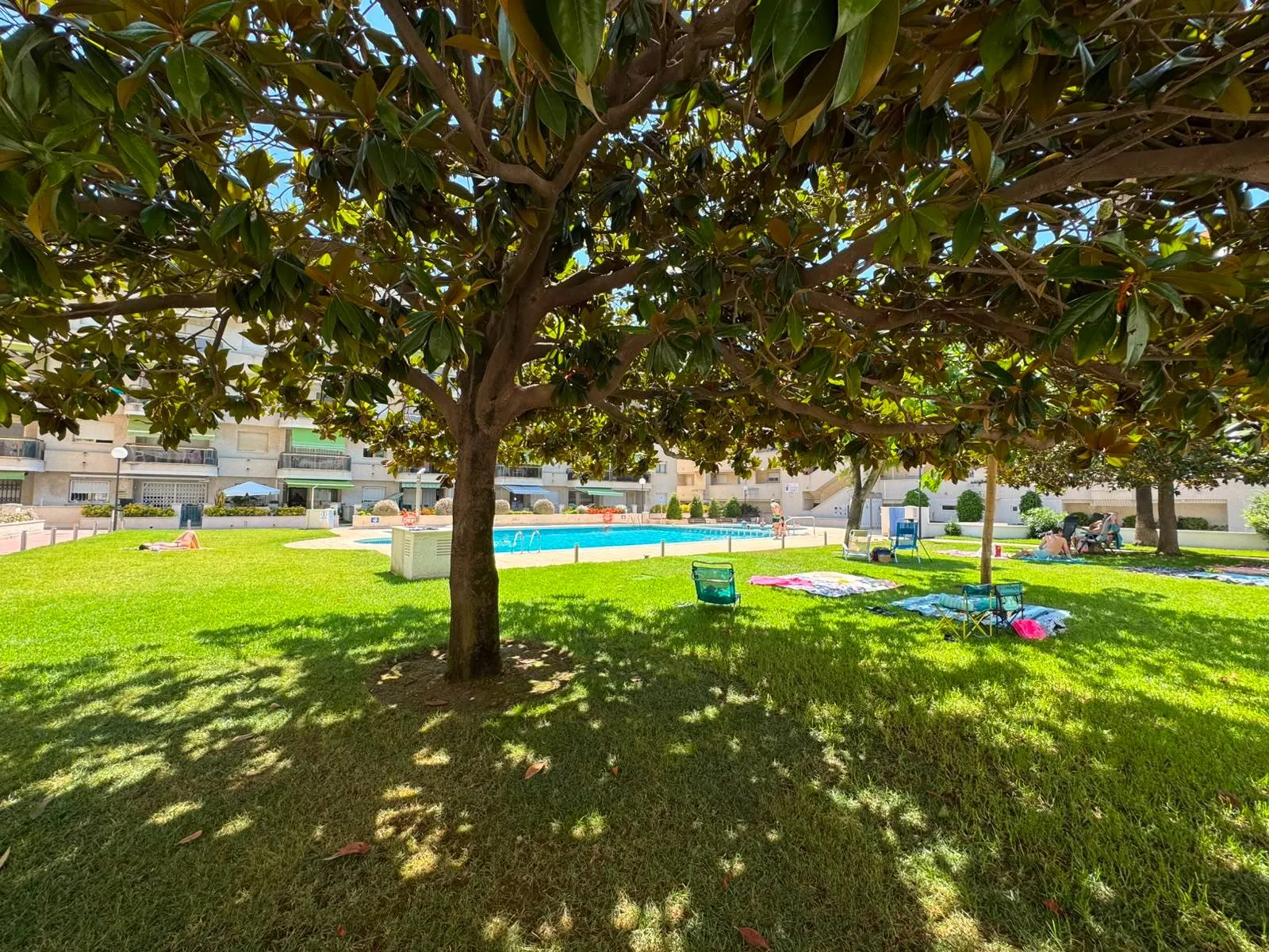 Jardines y piscina de Somni de Cambrils